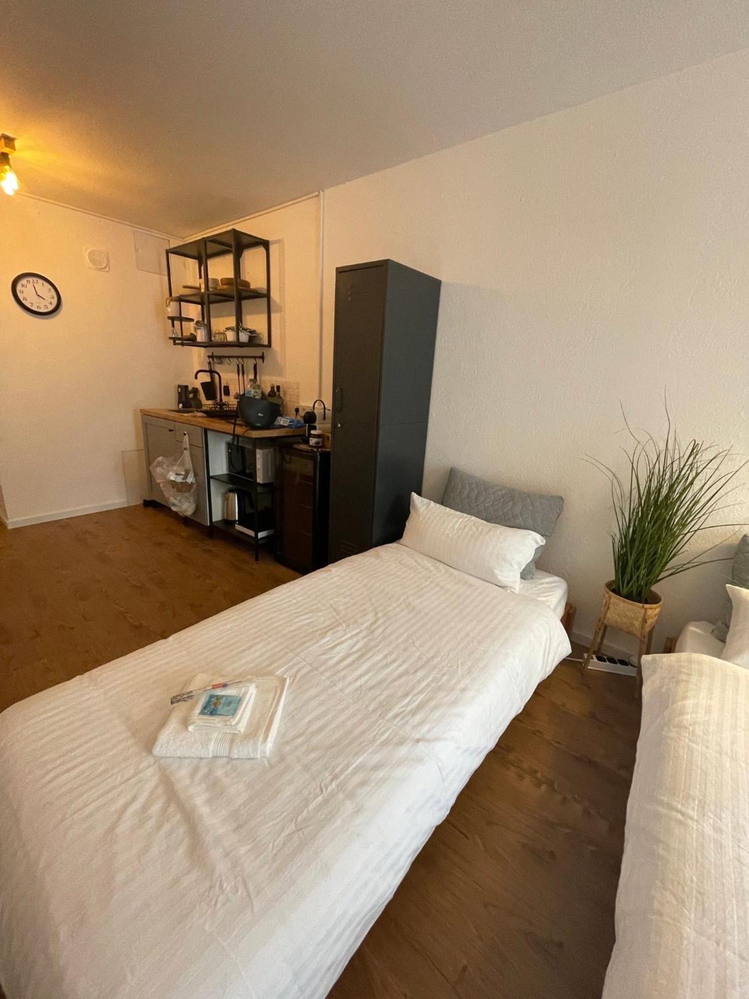 Apartment Mit Kuechenzeile, Stadtnah & Kostenlos Parken Passau Eksteriør billede