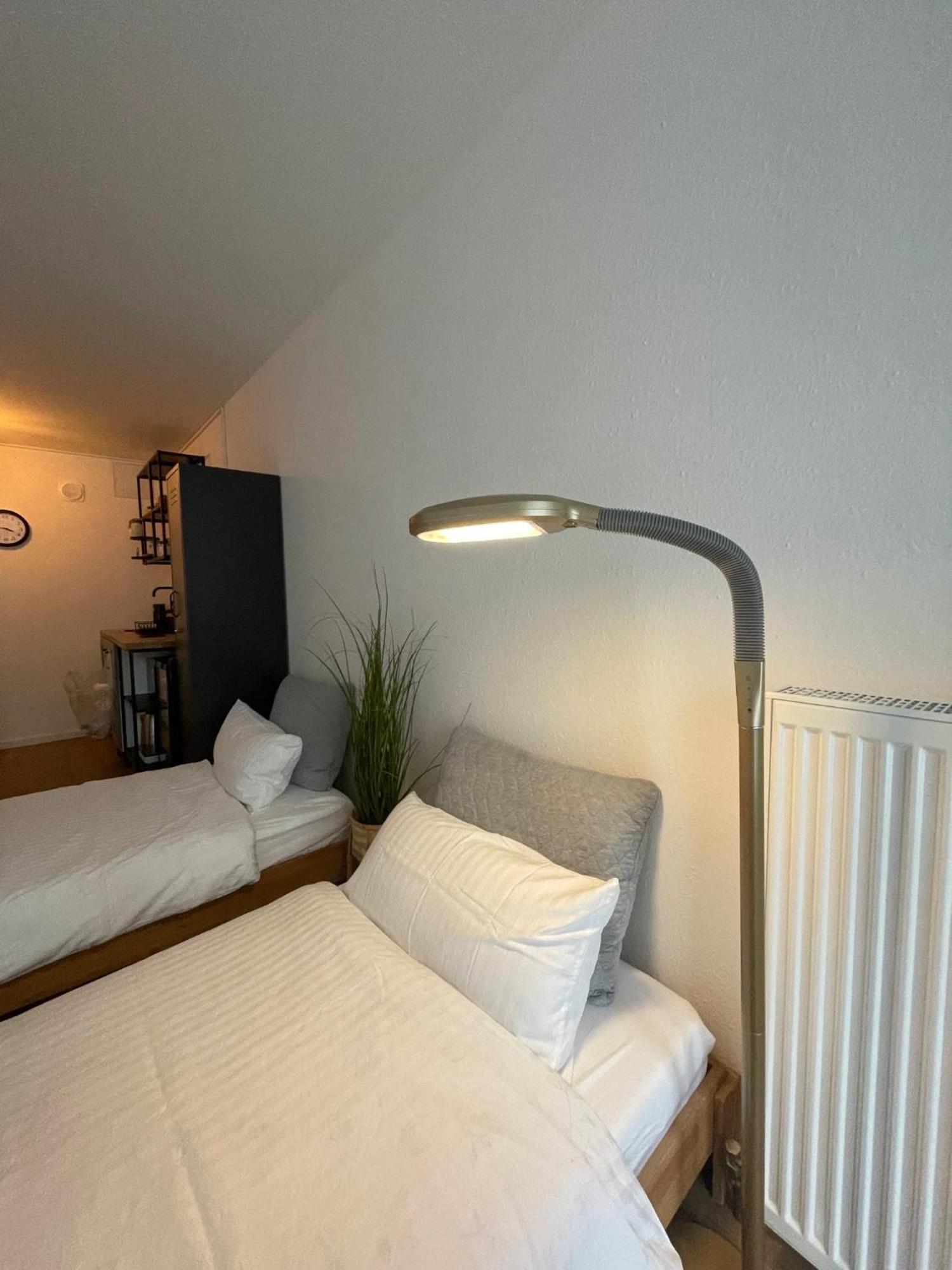 Apartment Mit Kuechenzeile, Stadtnah & Kostenlos Parken Passau Eksteriør billede